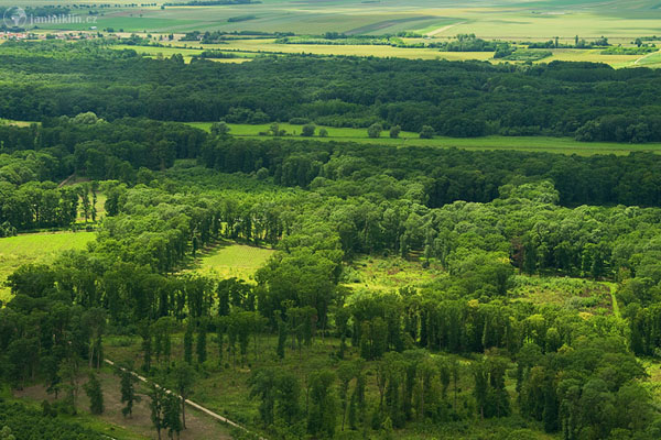 letecká fotografie: lužní lesy soutoku Moravy a Dyje