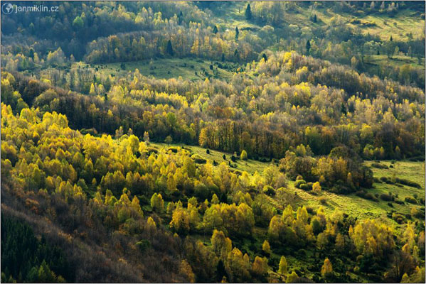 Podzimní paleta | Połonina Wetlińska