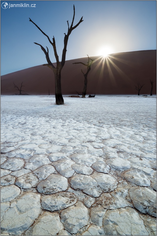 Deadvlei | NP Namib-Naukluft