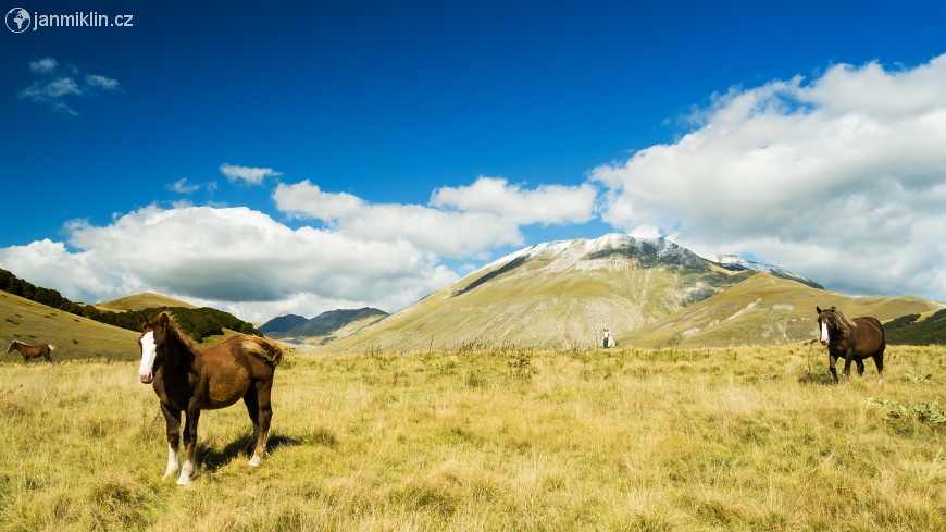 koně a Monte Vettoreto