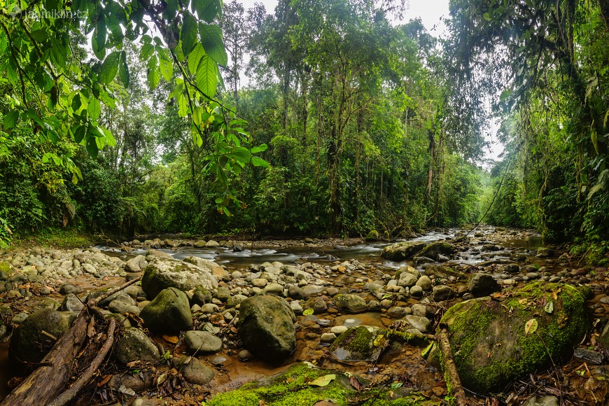 Río Chalhuayacu