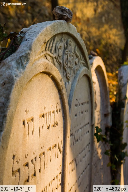 židovský hřbitov, Mikulov
