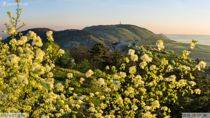 kvetoucí Stolová hora