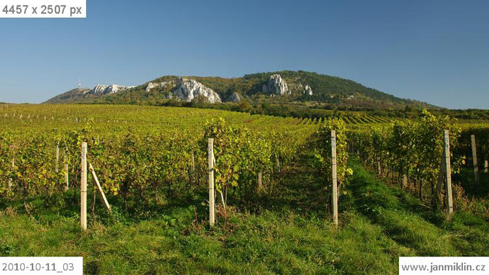 vinohrady pod Stolovou horou