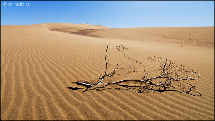 Zpívající duna | NP Altyn-Emel